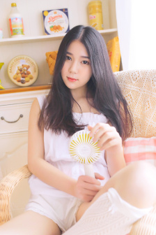 杨家将电影